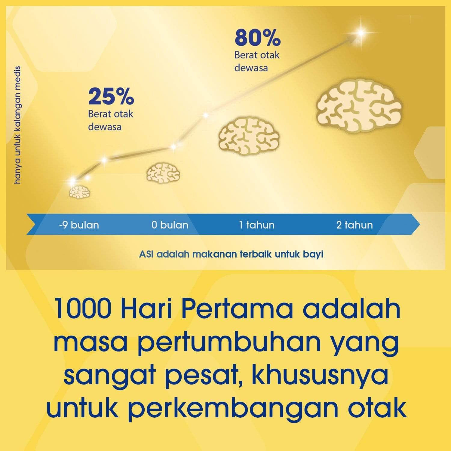 Enfamama A+ Susu Ibu Hamil dan Menyusui Box - 400g (3x400g)