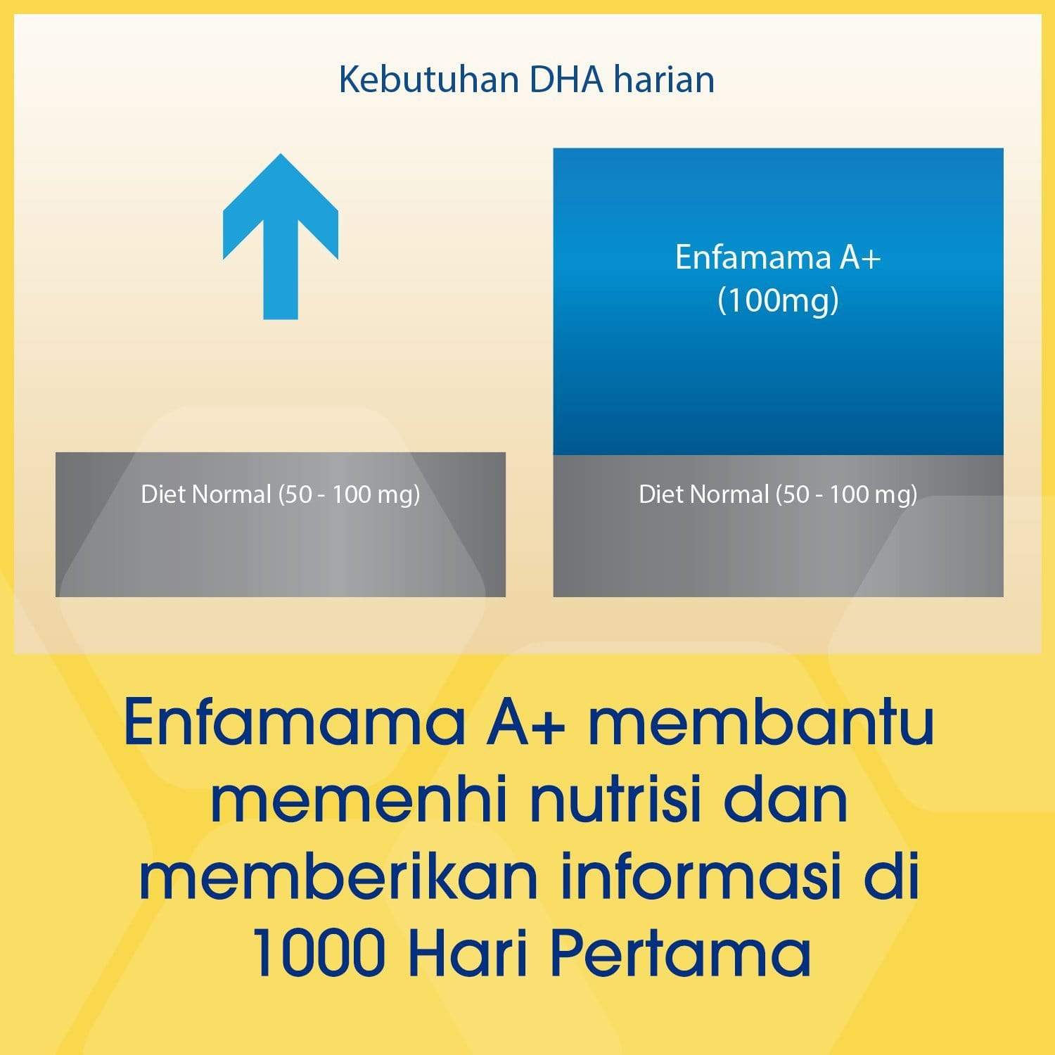 Enfamama A+ Susu Ibu Hamil dan Menyusui Box - 400g (3x400g)